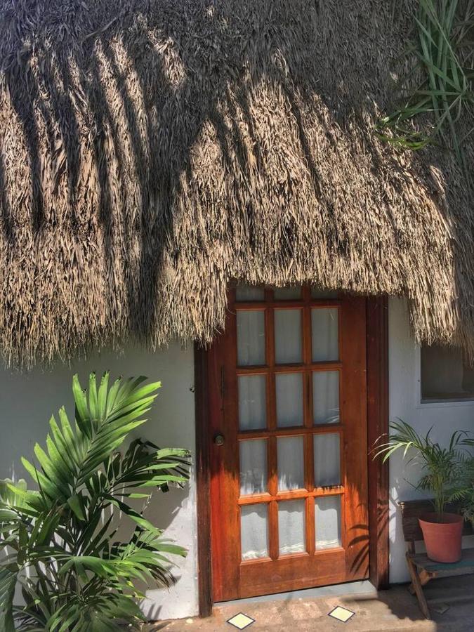 Villa Palapa Chili # Sayulita Exterior foto