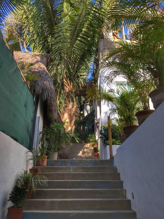 Villa Palapa Chili # Sayulita Exterior foto