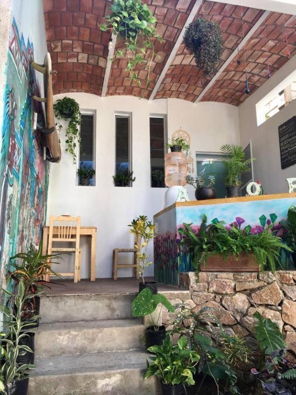 Villa Palapa Chili # Sayulita Exterior foto