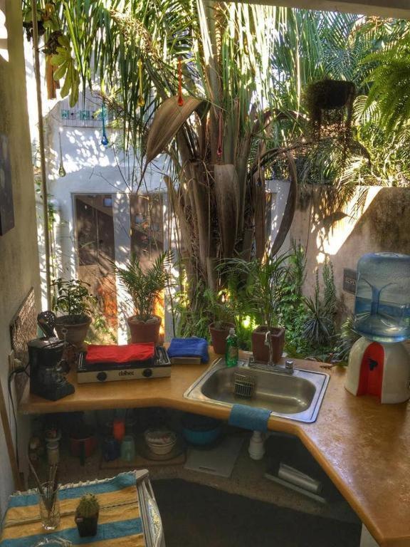 Villa Palapa Chili # Sayulita Exterior foto