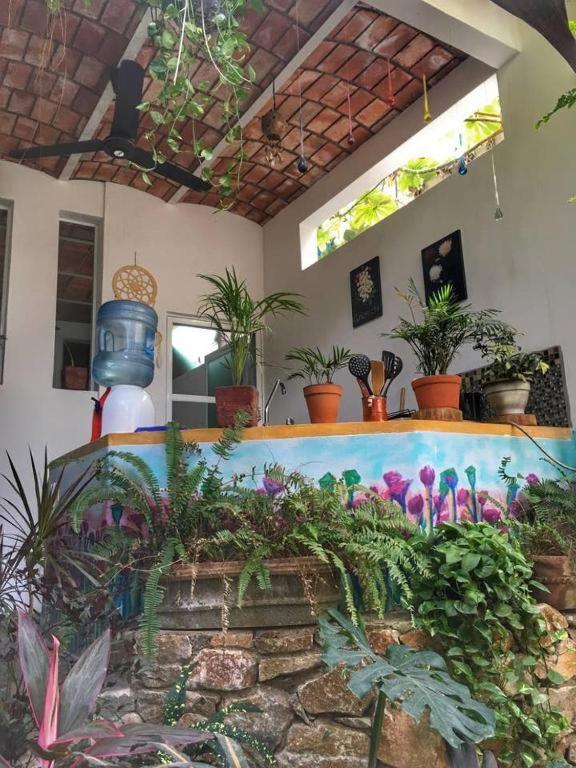Villa Palapa Chili # Sayulita Exterior foto